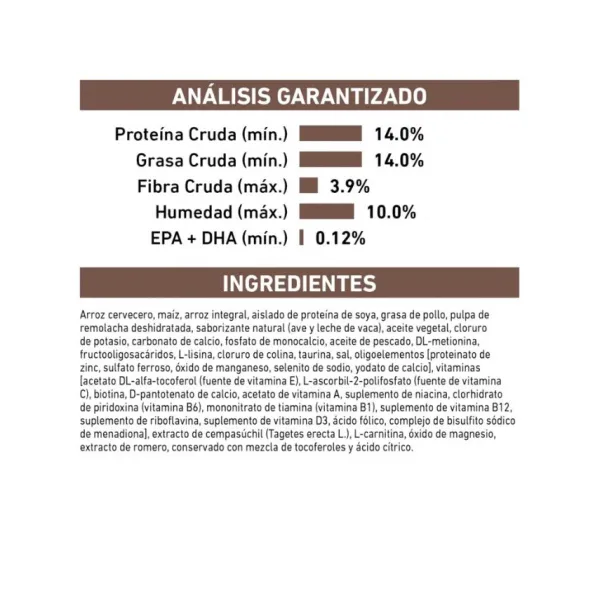 Best Royal Canin Alimento Seco Perro Adulto Hepatic