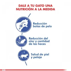 New Royal Canin Alimento Seco Gato Adulto Indoor Long Hair