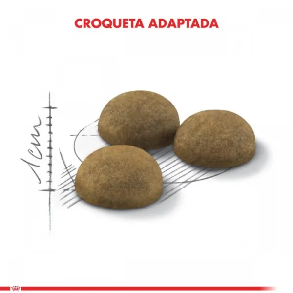 New Royal Canin Alimento Seco Gato Adulto Indoor Long Hair