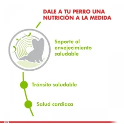Sale Royal Canin Alimento Seco Perro Adulto X-Small Ageing 12+ 1Kg