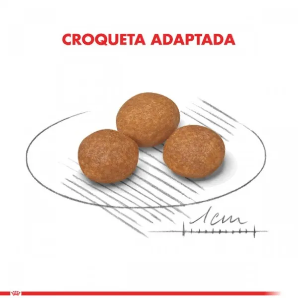 Royal Canin Alimento Seco Perro Adulto X-Small Adult 8+ 1Kg