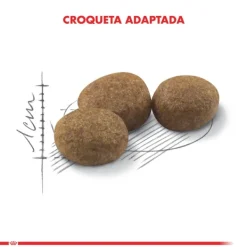 Sale Royal Canin Alimento Seco Gato Adulto Regular Sterilised