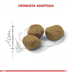 Online Royal Canin Alimento Seco Gato Adulto Indoor +7