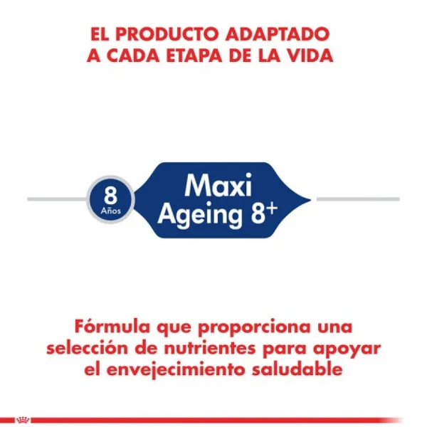 Best Royal Canin Alimento Seco Perro Adulto Maxi Ageing 8+
