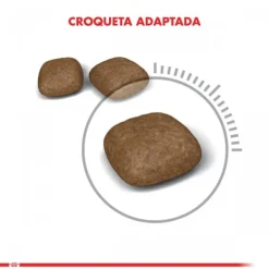 Sale Royal Canin Alimento Seco Gato Adulto Urinary Care
