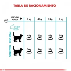 Sale Royal Canin Alimento Seco Gato Adulto Urinary Care