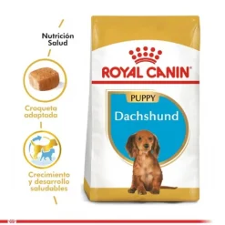 Discount Royal Canin Cachorro Dachshund Junior Alimento Para Perro