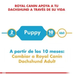Discount Royal Canin Cachorro Dachshund Junior Alimento Para Perro