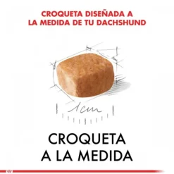 Discount Royal Canin Cachorro Dachshund Junior Alimento Para Perro