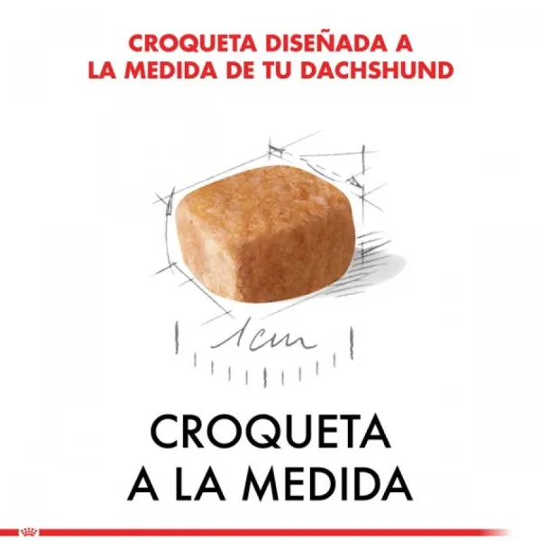 Discount Royal Canin Cachorro Dachshund Junior Alimento Para Perro