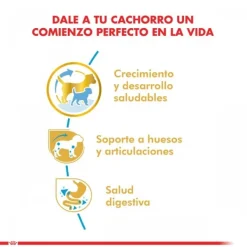Discount Royal Canin Cachorro Dachshund Junior Alimento Para Perro