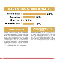 Discount Royal Canin Cachorro Dachshund Junior Alimento Para Perro