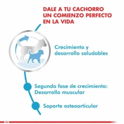 Hot Royal Canin Cachorro Giant Junior 15 Kg Alimento Para Perro