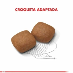 Hot Royal Canin Cachorro Giant Junior 15 Kg Alimento Para Perro