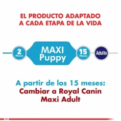 New Royal Canin Cachorro Maxi Puppy Alimento Para Perro