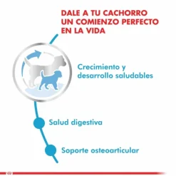 New Royal Canin Cachorro Maxi Puppy Alimento Para Perro