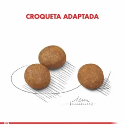 New Royal Canin Cachorro Maxi Puppy Alimento Para Perro