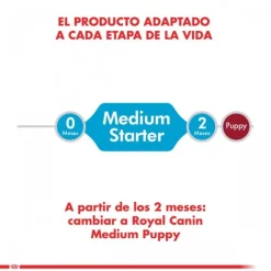 Hot Royal Canin Cachorro Medium Starter Alimento Para Perro