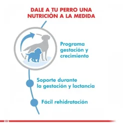 Hot Royal Canin Cachorro Medium Starter Alimento Para Perro
