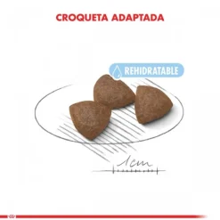Hot Royal Canin Cachorro Medium Starter Alimento Para Perro