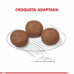 Outlet Royal Canin Cachorro Medium Puppy Alimento Para Perro