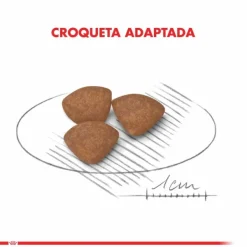 Discount Royal Canin Cachorro Mini Puppy Alimento Para Perro