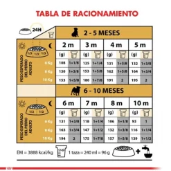 Sale Royal Canin Cachorro Pug Junior Alimento Para Perro