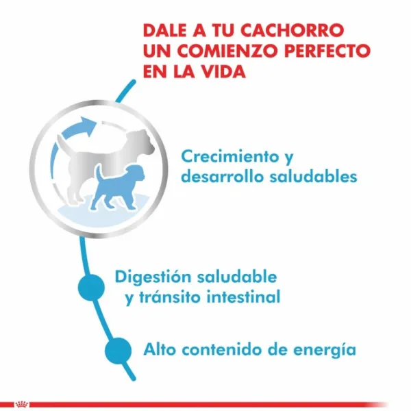 Online Royal Canin Cachorro X-Small Puppy Alimento Para Perro