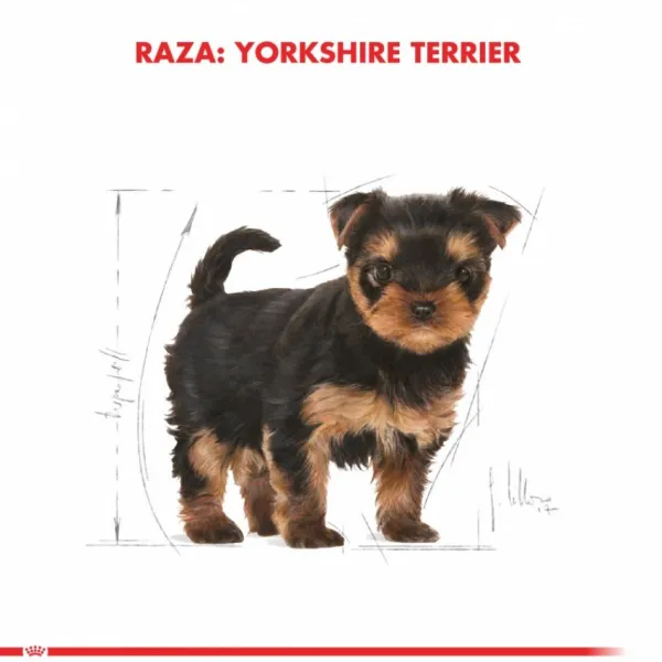 Discount Royal Canin Cachorro Yorkshire Terrier Junior Alimento Para Perro