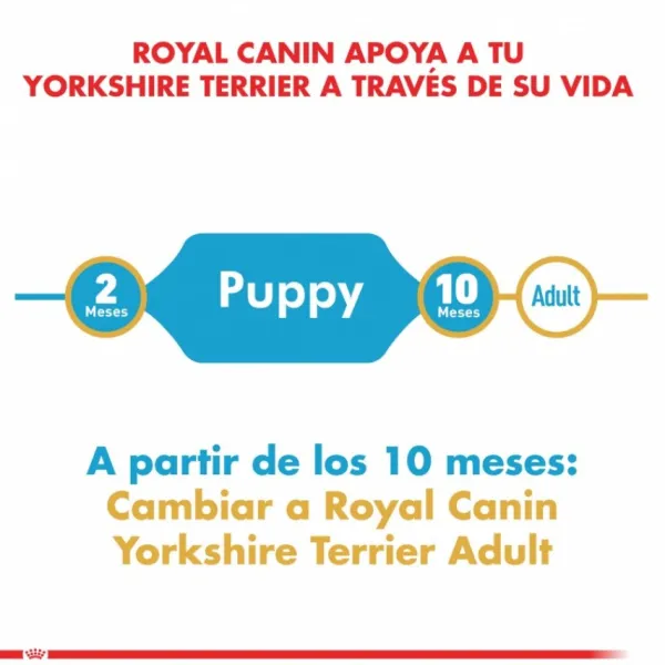 Discount Royal Canin Cachorro Yorkshire Terrier Junior Alimento Para Perro