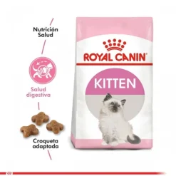 Best Royal Canin Gatito Felino Kitten Alimento Para Gato