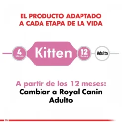 Best Royal Canin Gatito Felino Kitten Alimento Para Gato