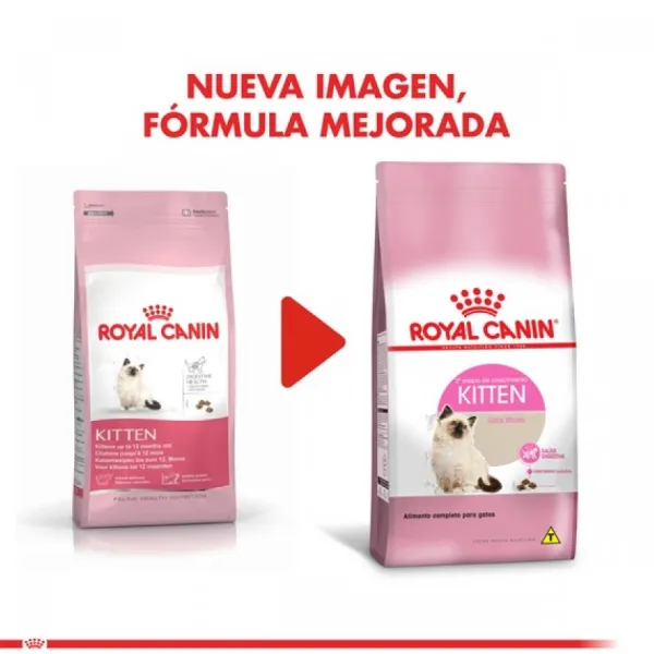 Best Royal Canin Gatito Felino Kitten Alimento Para Gato