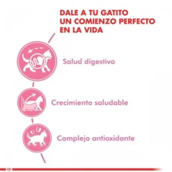 Best Royal Canin Gatito Felino Kitten Alimento Para Gato