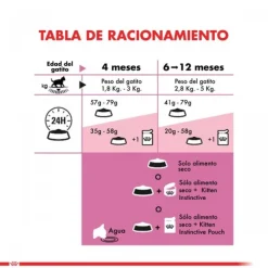 Best Royal Canin Gatito Felino Kitten Alimento Para Gato