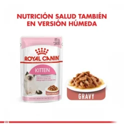 Best Royal Canin Gatito Felino Kitten Alimento Para Gato
