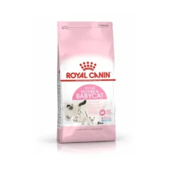 Hot Royal Canin Mother & Baby Cat Alimento Para Gato