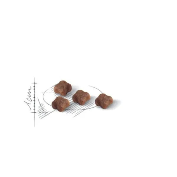 Hot Royal Canin Mother & Baby Cat Alimento Para Gato