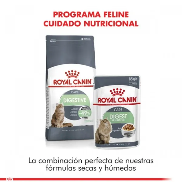 Best Royal Canin Adulto Digestive Care Alimento Para Gatos