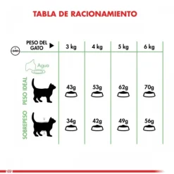 Best Royal Canin Adulto Digestive Care Alimento Para Gatos