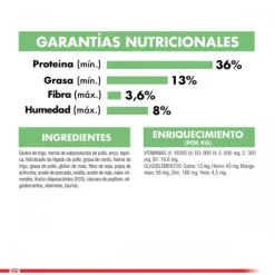 Best Royal Canin Adulto Digestive Care Alimento Para Gatos