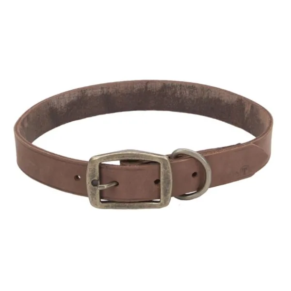 Online Coastal Rustic Leather Town Dog Collar, Chocolate 1" X 20"