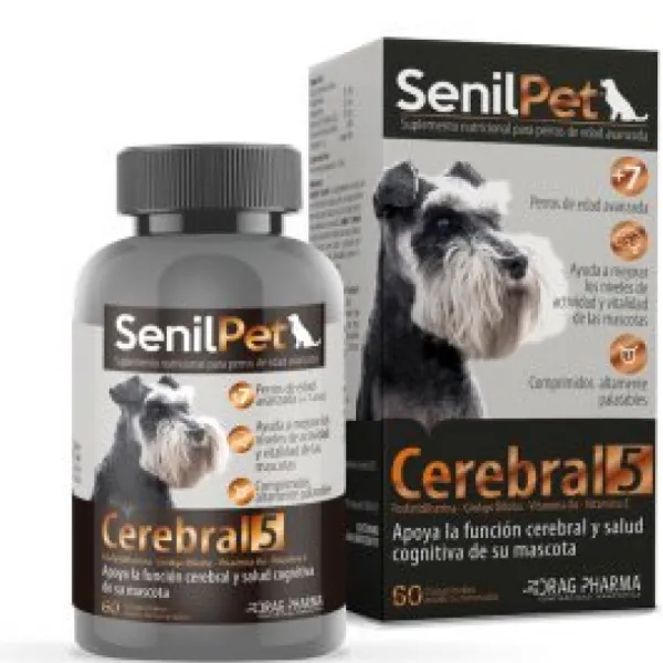 Online Drag Pharma Senilpet Cerebral 5 60 Comprimidos