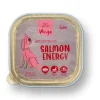 Hot Winga Lata Salm N Energy
